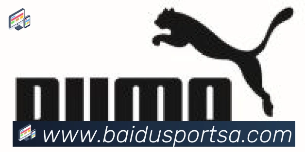 百度体育合作伙伴